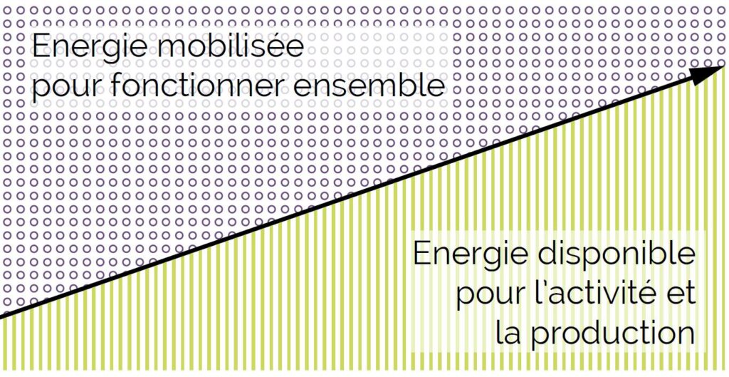 CNV communication nonviolente management formation