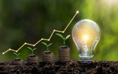 Ecologische overgang: welke gevolgen voor vaardigheden en opleiding?