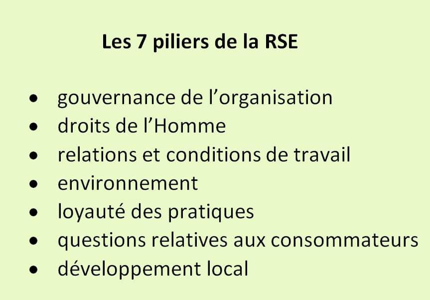 MVO bestaat uit 7 thema's: organisatorisch bestuur, mensenrechten, arbeidsrelaties en -omstandigheden, milieu, eerlijke praktijken, consumentenkwesties, lokale ontwikkeling.