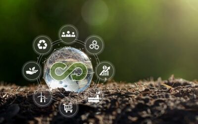 Hoe u de circulaire economie kunt integreren in uw marketingstrategie