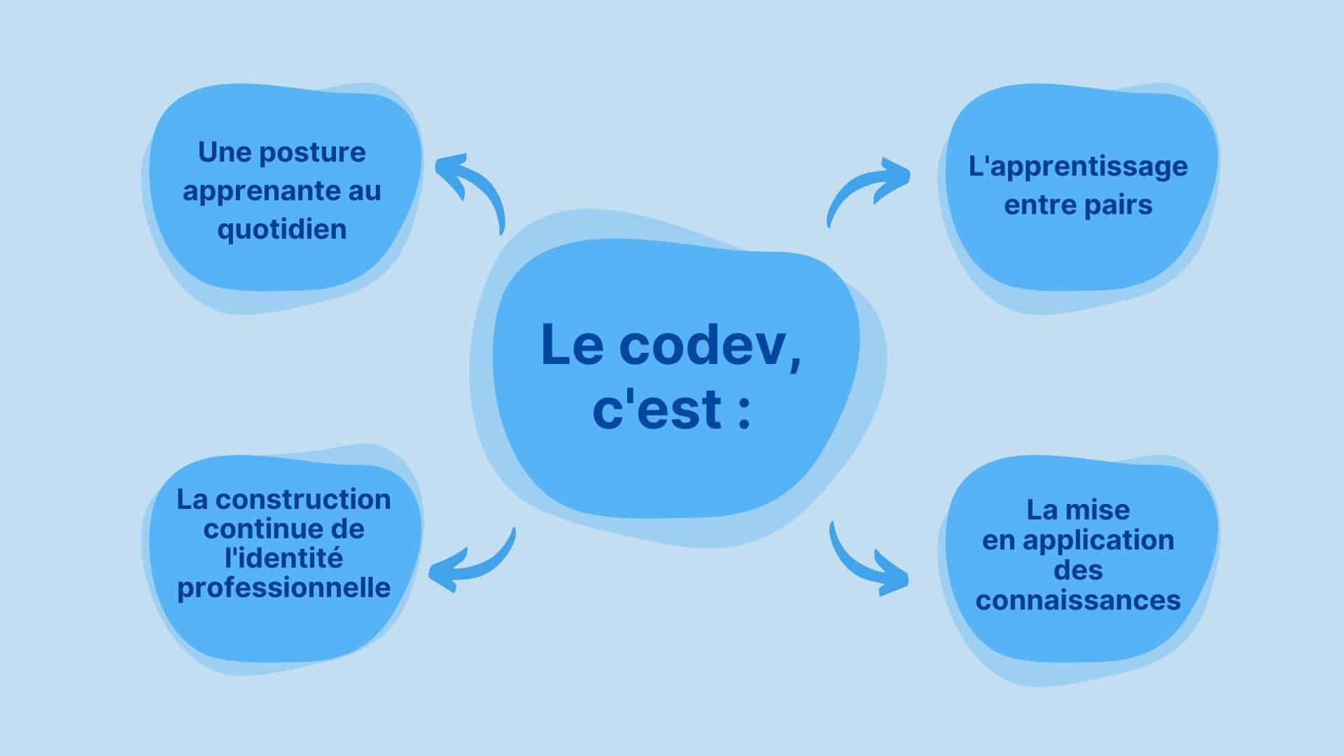 Co-development is based on four fundamental principles.