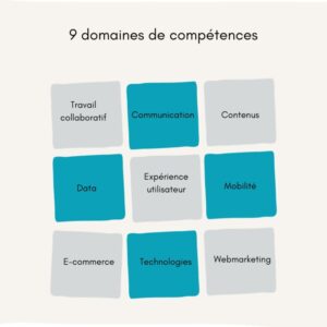 Certificación DiGiTT