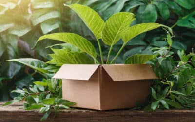 Logistique inversée : un gage de différenciation et de satisfaction RSE