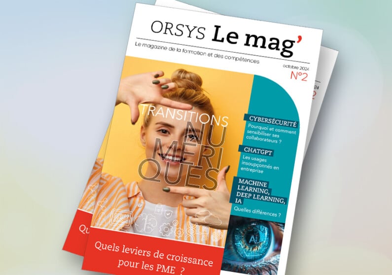Mockup-blog-catazine2 Magazine des Transitions numériques, ORSYS Le mag