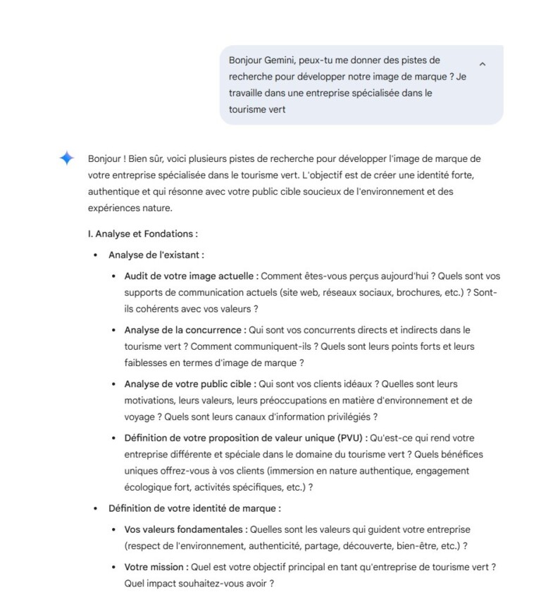 Proposition formulée par Gemini pour développer son image de marque