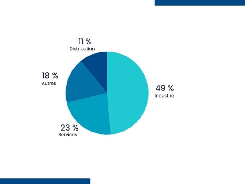 Graph showing the sectors in which interim management is used: 49 % in industry, 23 % in services, 18 % in other sectors and 11 % in distribution.