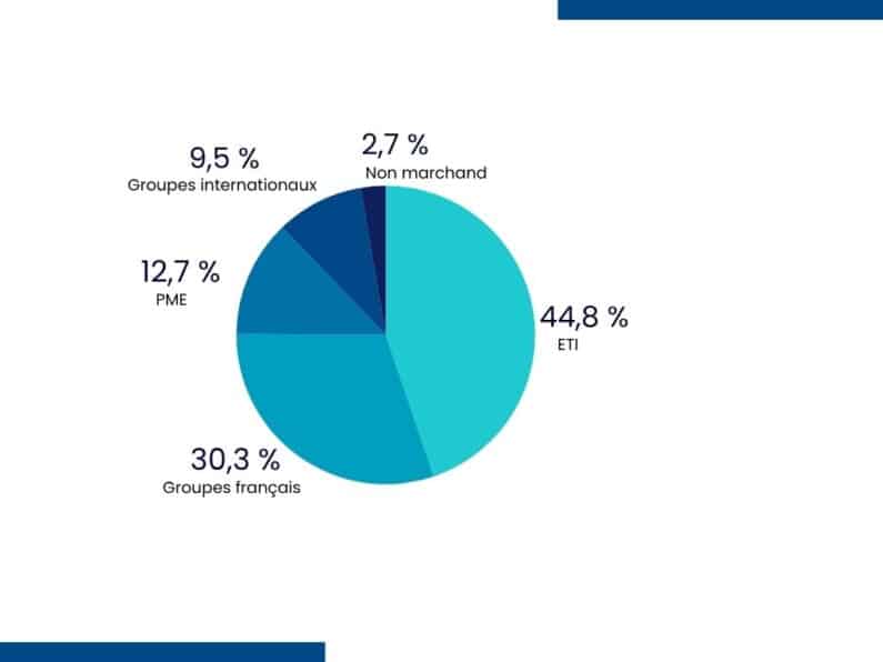 Graph showing interim management clients. Almost half of our clients are small and medium-sized businesses.