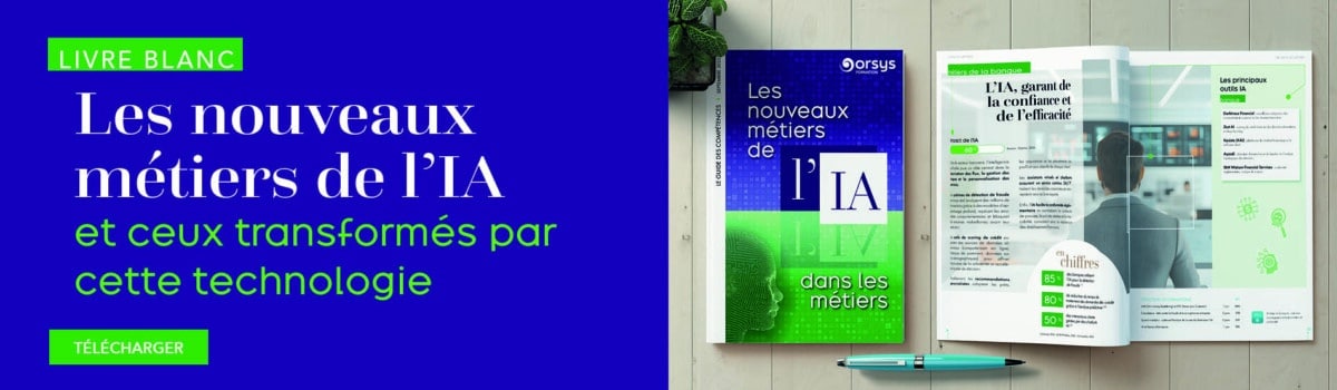 Bandeau promo Livre blanc Les métiers de l'IA