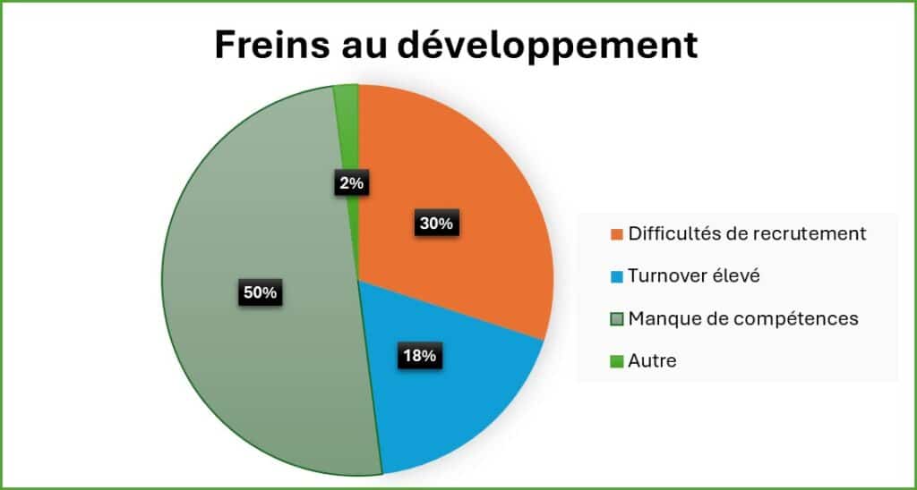 Illustration graphique des freins au développement : difficultés de recrutement (30%), turnover élevé (18%), manque de compétences (50%), autres (2%).