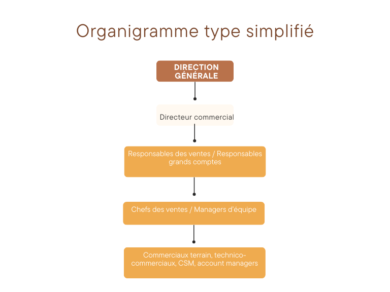 Simplified organisation chart for the Sales Department