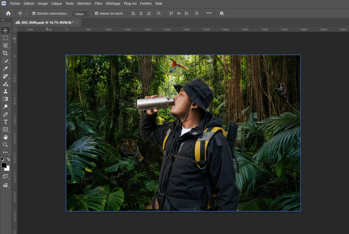 Photoshop : fond et éléments générés par l’IA, sujet harmonisé par l’IA