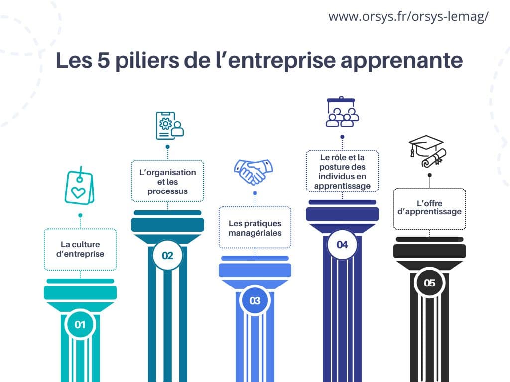 Les cinq piliers de l'entreprise apprenante : la culture d’entreprise ; l’organisation et les processus ; les pratiques managériales ; le rôle et la posture des individus en apprentissage ; l’offre d’apprentissage.