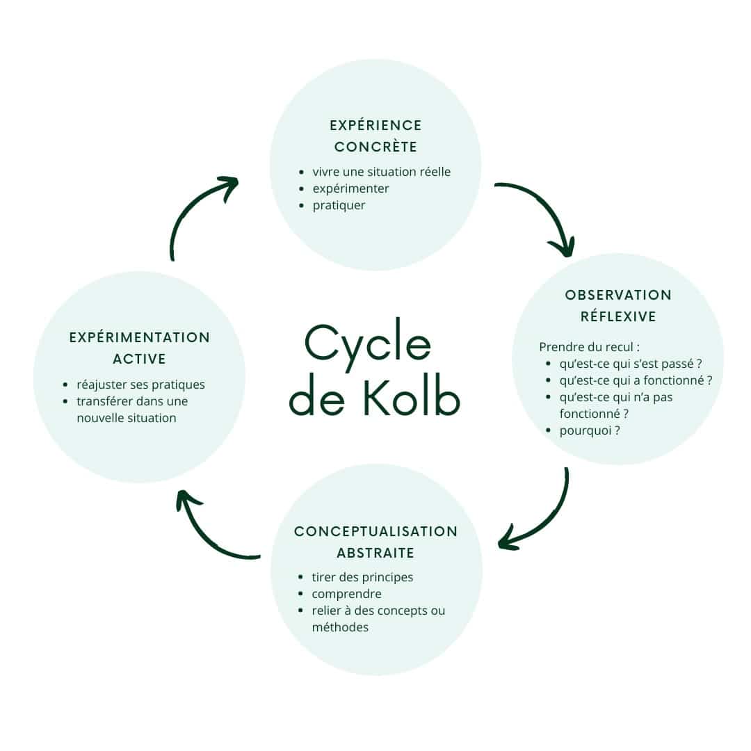 Schéma d'illustration du cycle de Kolb dans l'article sur la formation et le tutorat.